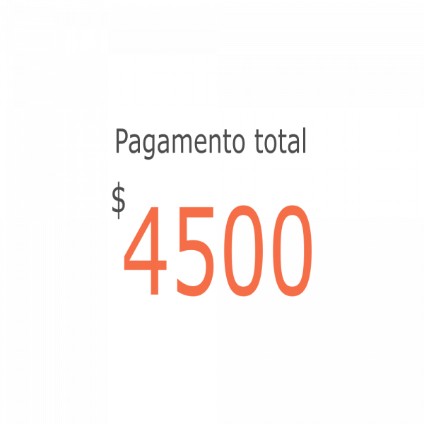 Serviço completo 4500