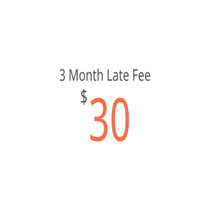 3 Month Late Fee - $30